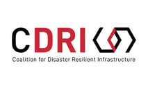 Coalition for Disaster Resilient Infrastructure logo