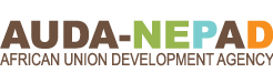 AUDA-NEPAD logo