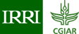 IRRI - International Rice Research Institute