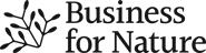 BFN - Business for Nature